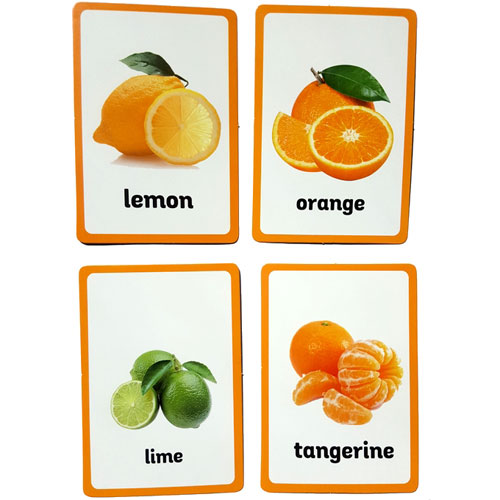 Montessori nomenclature cards free